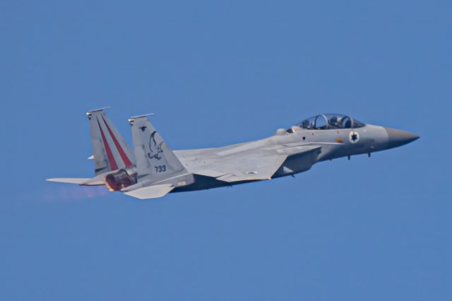 McDonnell Douglas F-15 Eagle (0733)