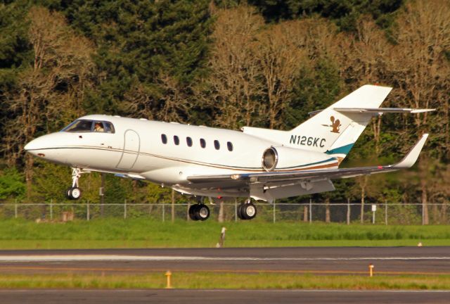 Hawker 800 (N126KC) - 1995 RAYTHEON HAWKER 800.  4-23-13