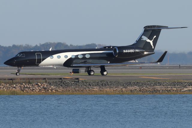 Gulfstream Aerospace Gulfstream V (N444SC) - Operated by the Puma Shoe Co.