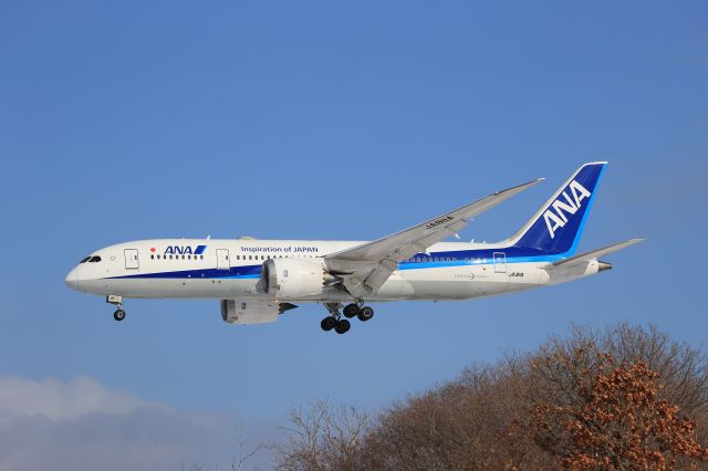 Boeing 787-8 (JA811A) - January 3rd 2021:HND-HKD.