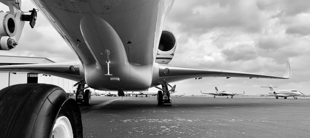 Cessna Citation X (N537WC)