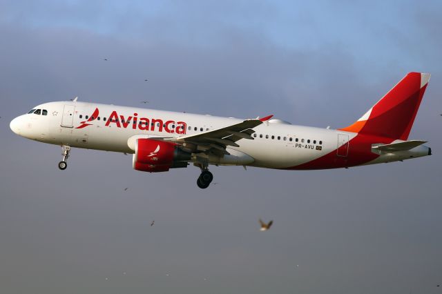 Airbus A320 (PR-AVU)