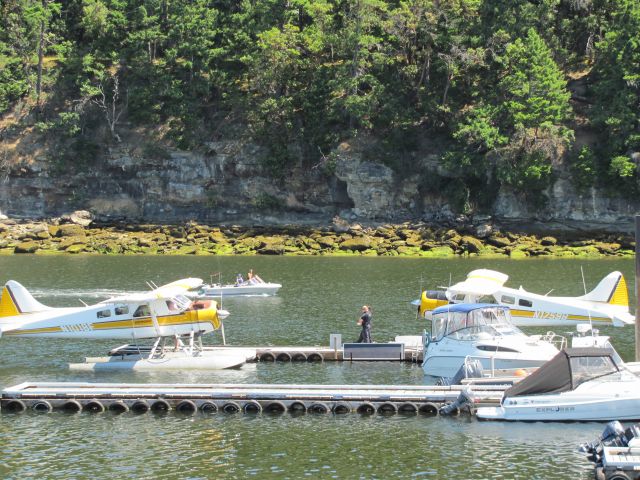 De Havilland Canada DHC-3 Otter (N1018F)