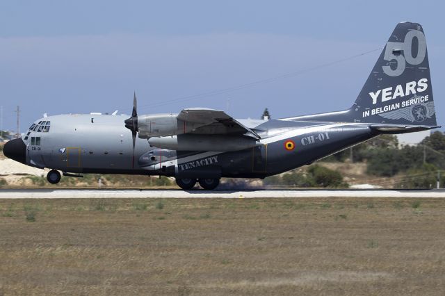 Lockheed C-130 Hercules (BMJ01)