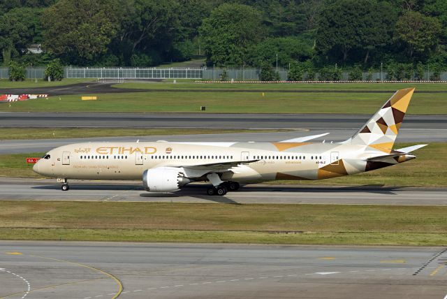 Boeing 787-9 Dreamliner (A6-BLZ)