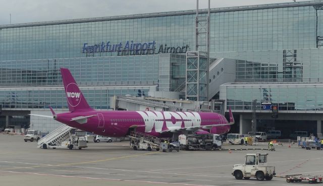 Airbus A321 — - WOW Air A321 at FRA