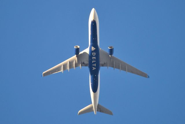 Airbus A330-300 (N802NW) - After departing IND for BNA with the Indianapolis Colt's onboard, I was watching FR24 and saw she was headed towards my home. Here she is climbing to altitude. Shot from my backyard at approximately 11,000 feet. I am zoomed out and cropped down quite a bit. It was a beautiful day, and here she is in golden hour light.