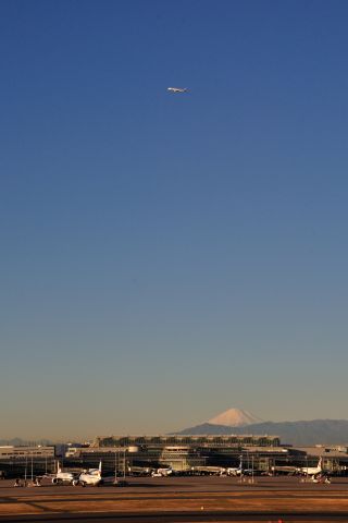 Boeing 787-8 (JA811A) - 2014/12/23