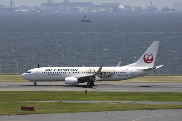 Boeing 737-800 (JA329J) - Landing at Haneda Intl Airport Rwy34R on 2013/05/31 "No-4 JAL Happiness Express"