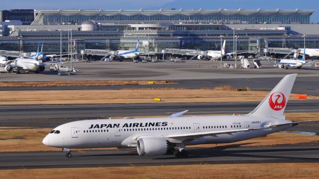Boeing 787-8 (JA848J)