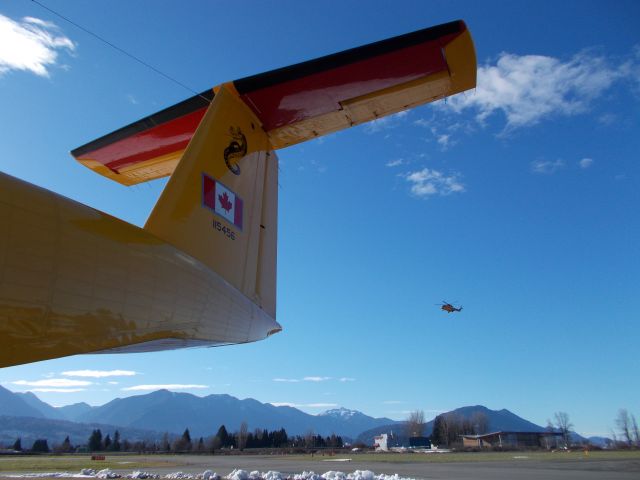 CSQ5456 — - C115 Buffalo parked as Cormorant sets for landing