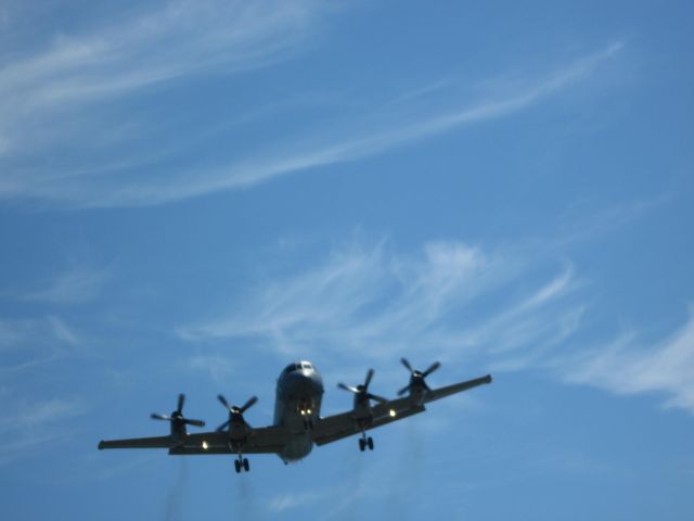 — — - Canadian Forces Aurora Survailance aircraft  CFB Comox landing at   CFB Comox, BC