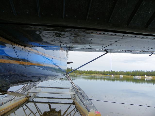 De Havilland Canada DHC-2 Mk1 Beaver — - A tails view.