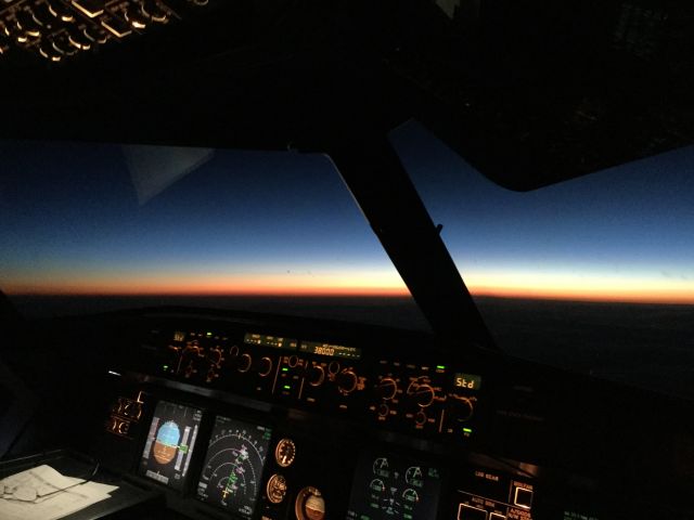 Airbus A319 (5A-WLA) - cockpit view 