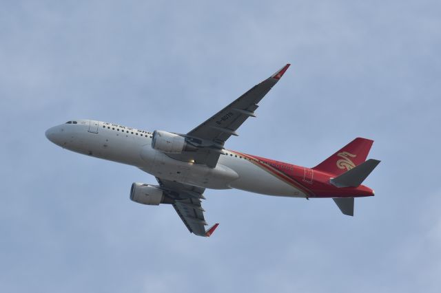 Airbus A320 (B-8079) - Shark let Shenzhen