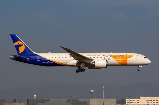Boeing 787-9 Dreamliner (EI-UBN)