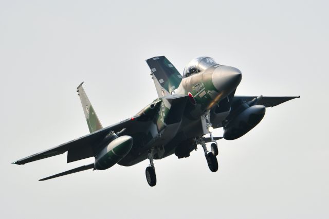 McDonnell Douglas F-15 Eagle (32-8083) - JASDFbr /飛行教導群(Tactical Fighter Training Group）br /（Aggressor squadron）F-15DJ