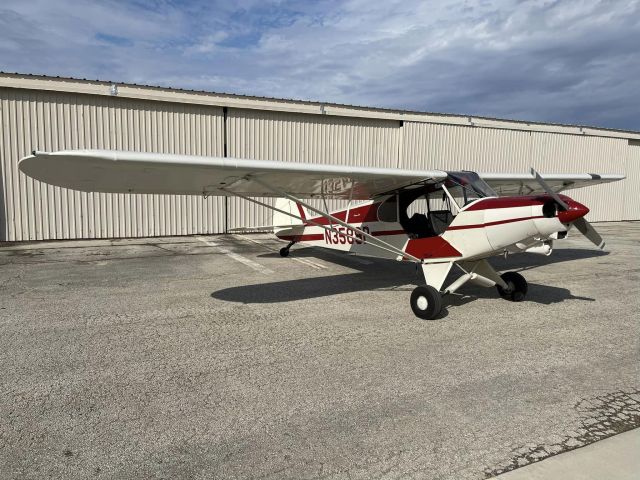 Piper L-21 Super Cub (N3589P)