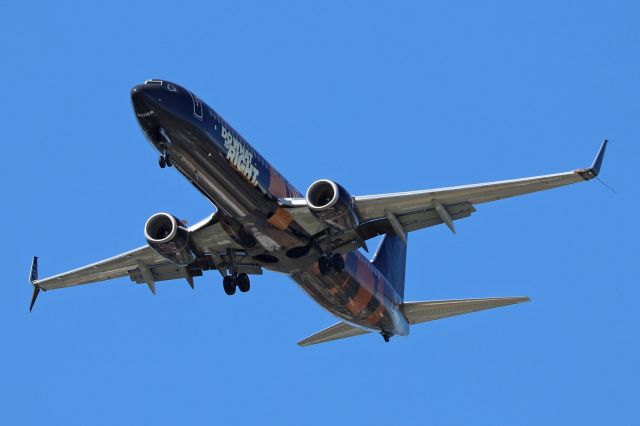 Boeing 737-900 (N492AS) - ASA216 on short-final for RWY 24R from Seattle-Tacoma Intl (KSEA) 27 Jun 2022.