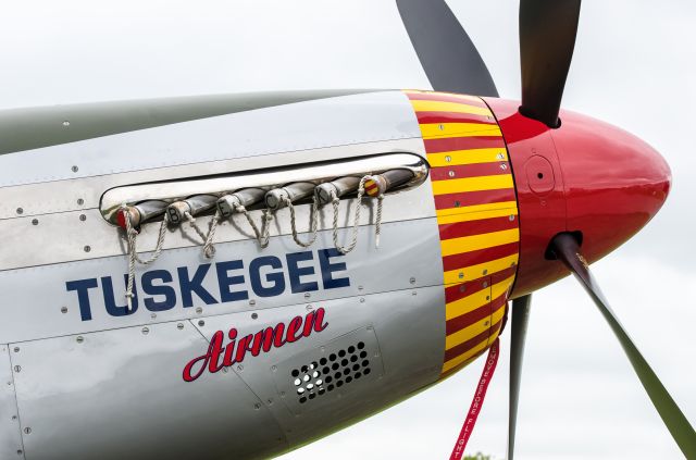 North American P-51 Mustang (SAI61429) - P51 Mustang