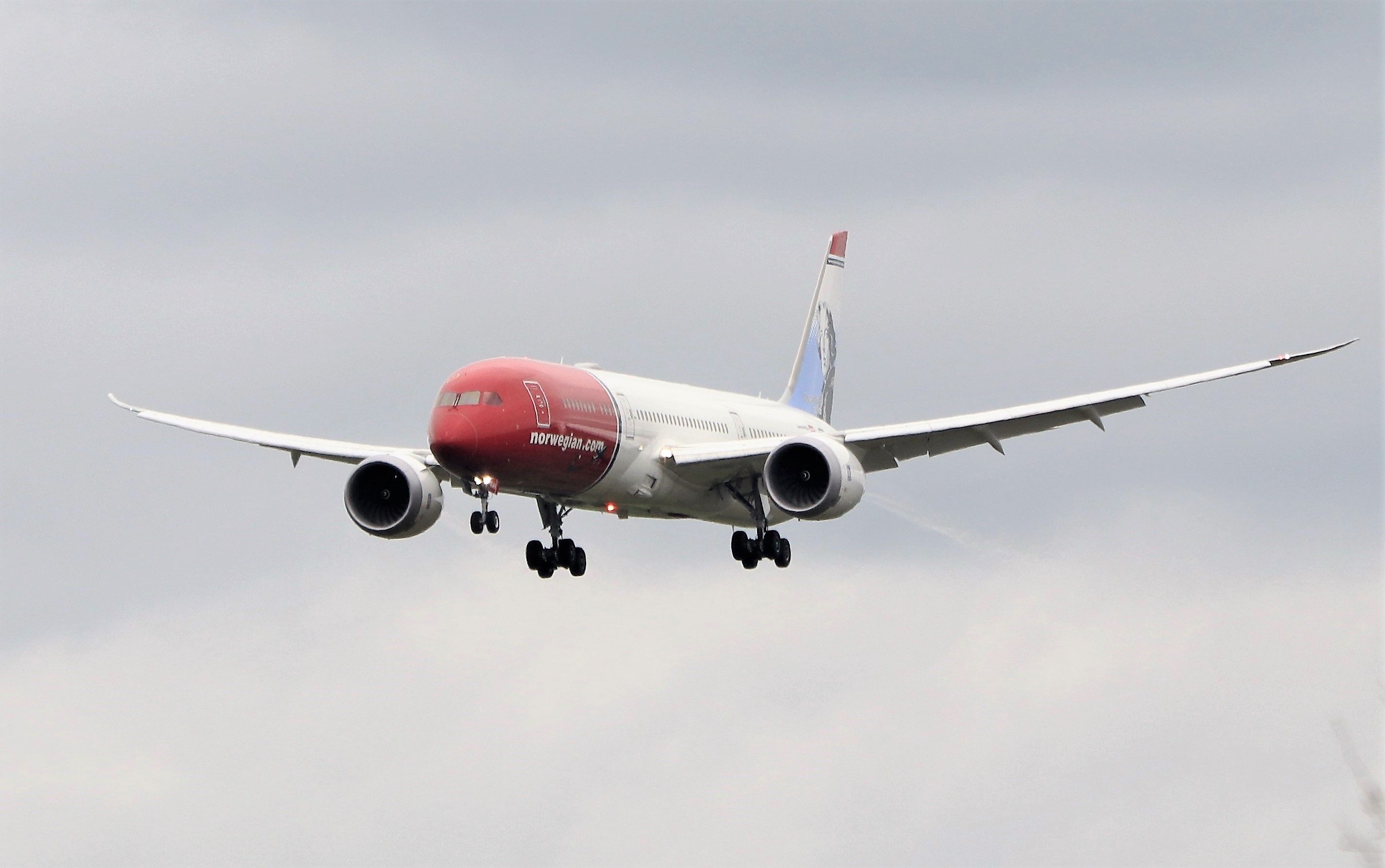 Boeing 787-9 Dreamliner (G-CKWN) - norwegian air uk (oscar wilde livery) b787-9 g-ckwn landing at shannon from oslo for parking 22/3/21.
