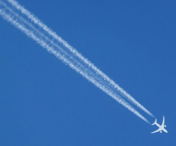 Boeing 787-8 (EC-MPE) - EC-MPE | AEA042 | Boeing 787-8br /VERTICAL DE CAC I FL 390br /14.02.2018 - 16:19
