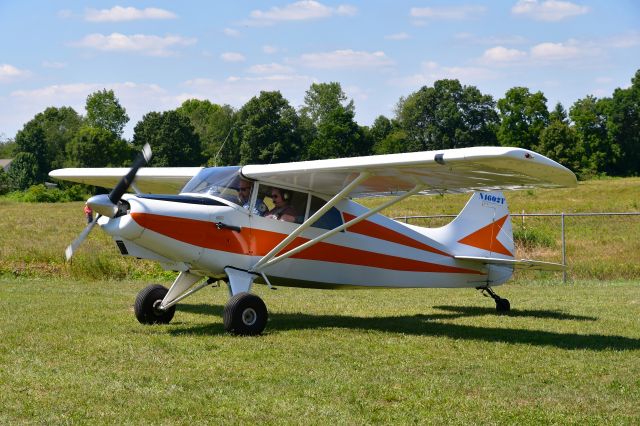 MAULE M-4 Rocket (N4602T) - Maule M-4 Bee Dee N4602T in Brighton, MI