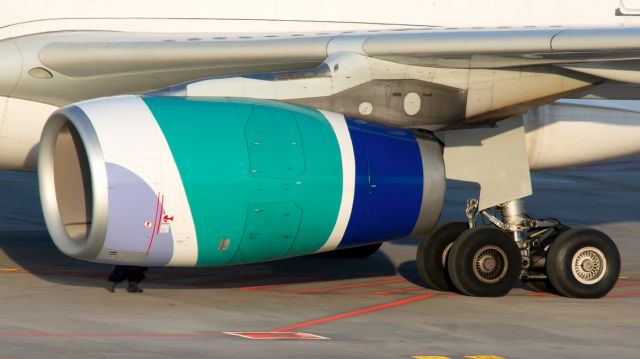 Airbus A330-300 (EC-LXA) - TENERIFE SUR