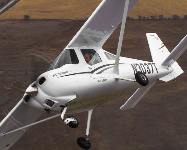 Cessna Skycatcher (N3037T)