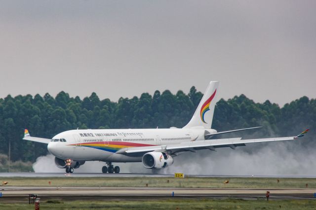 Airbus A330-200 (B-8950) - A330-243(B-8950) Landing