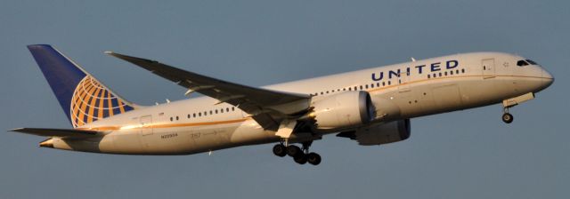 Boeing 787-8 (N20904)