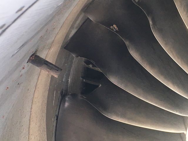 Embraer 170/175 — - Bird Strike