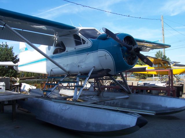 C-FSCM — - SEALAND AVIATION LTD.  Campbell River,  Vancouver Island, BC, Canada