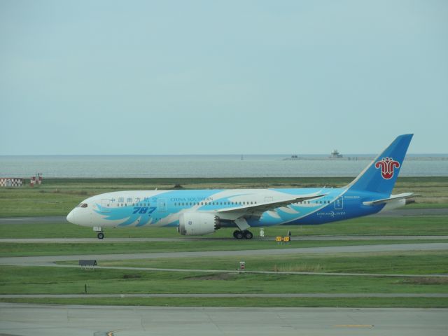 Boeing 787-8 (B-2733)