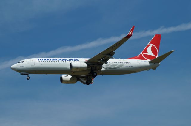 Boeing 737-800 (TC-JGG)