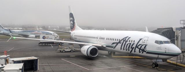 Boeing 737-800 (N535AS) - C Concourse, Portland International Airport