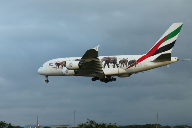 Airbus A380-800 (A6-EEI)