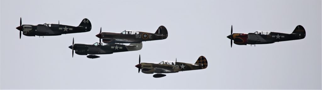 CURTISS Warhawk (N40P) - Warbird Roundup 2018 at Warhawk Air Museum, Nampa, ID, 26 Aug 18