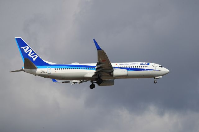 Boeing 737-800 (JA76AN) - March 14th 2020:HND-HKD.