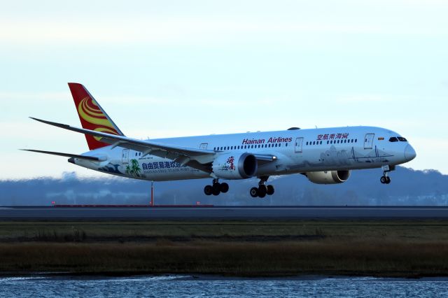 Boeing 787-9 Dreamliner (B-1540) - Hainan Free Trade Port livery