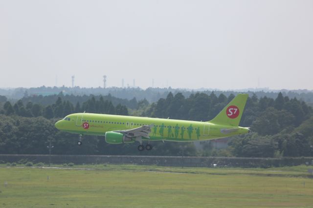 Airbus A320 (VQ-BRD)