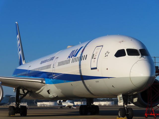 BOEING 787-10 Dreamliner (JA900A) - Photo taken on Oct 31, 2022.