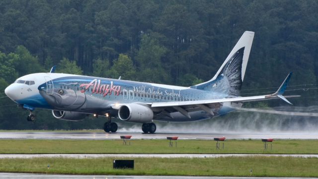 Boeing 737-800 (N559AS) - Lets just say things were a little fishy at RDU.