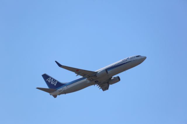 Boeing 737-800 (JA59AN)
