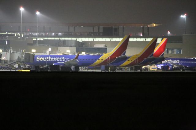 Boeing 737-800 (N8556Z)