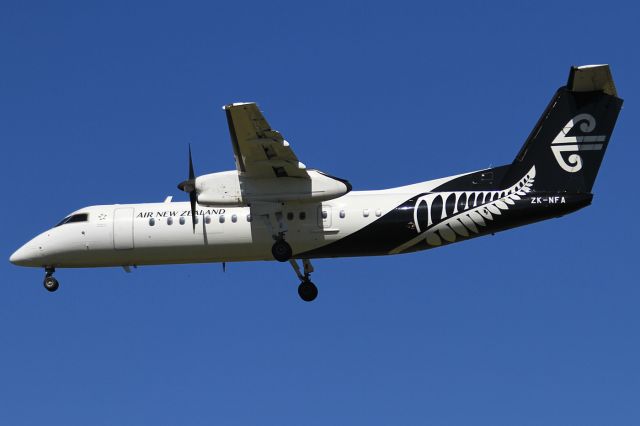 de Havilland Dash 8-300 (ZK-NFA)