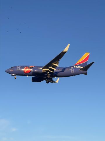 Boeing 737-700 (N409WN) - Arrival from Hobby 1-29-2022