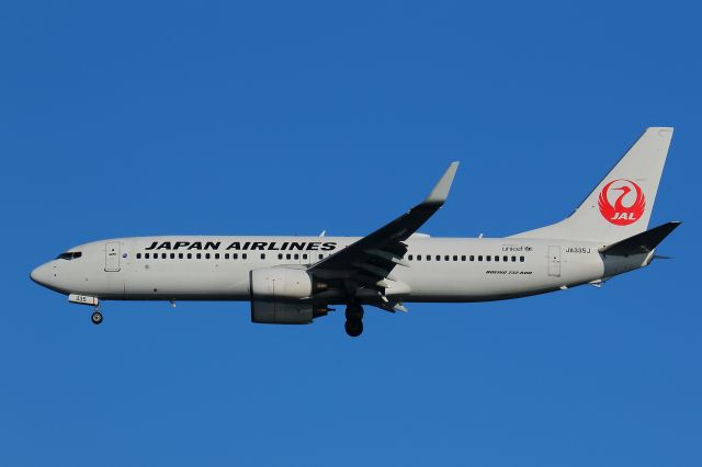 Boeing 737-800 (JA335J)