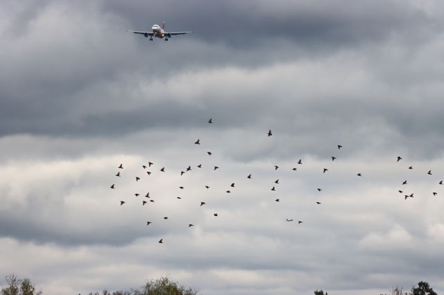 Airbus A320 (UK-32072)