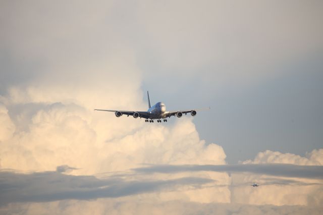 Airbus A380-800 (D-AIMK)